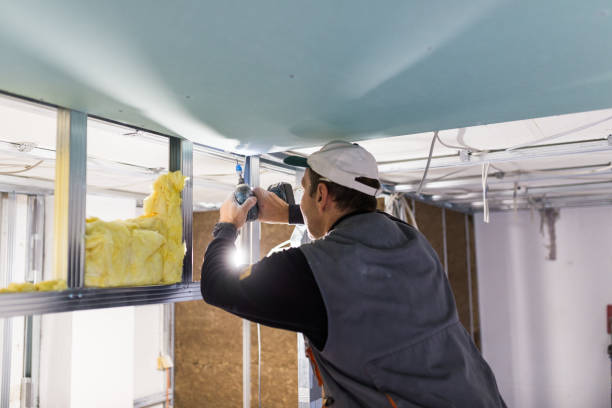 Best Spray Foam Insulation  in Walnut Hill, TN